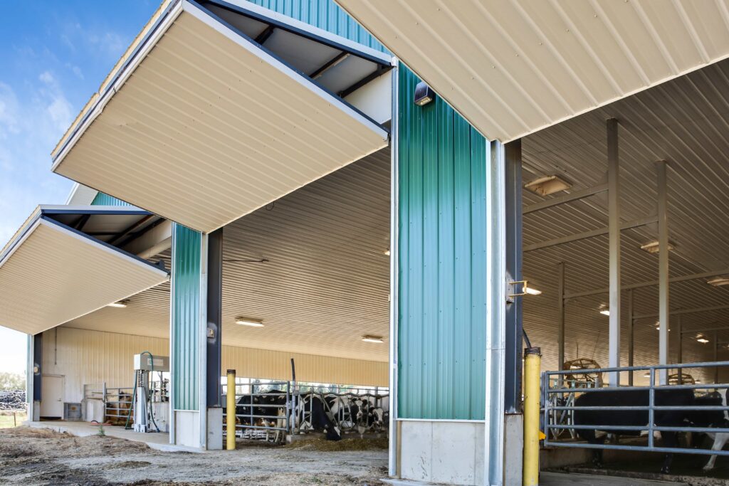 A clsoe up shot of the front of a post frame dairy barn. The bifold doors are opened, showing dairy cows inside.